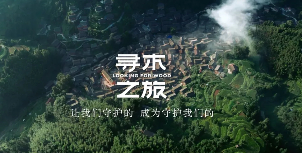 九游会官网寻木之旅IP-《与木共生》荣获第25届IAI传鉴国际广告·整合营销铜奖